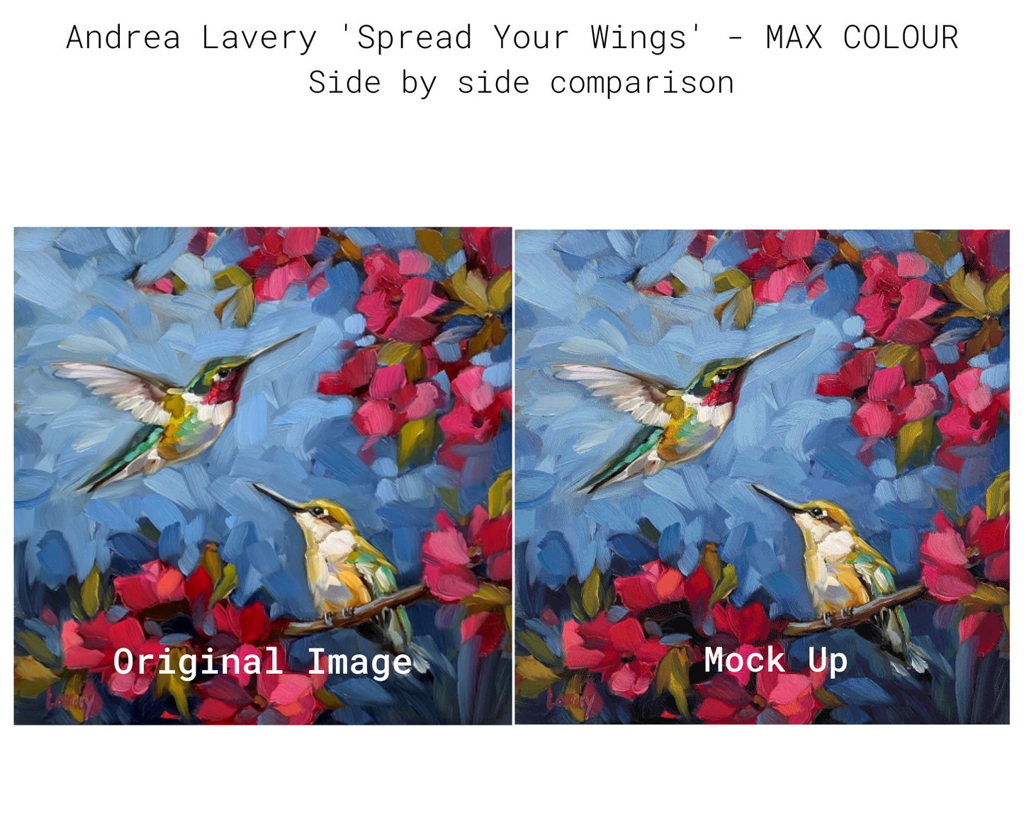 Spread Your Wings - MAX COLOUR