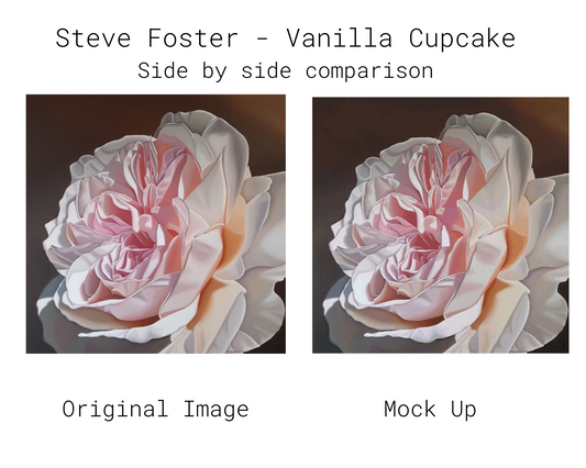 Vanilla Cupcake