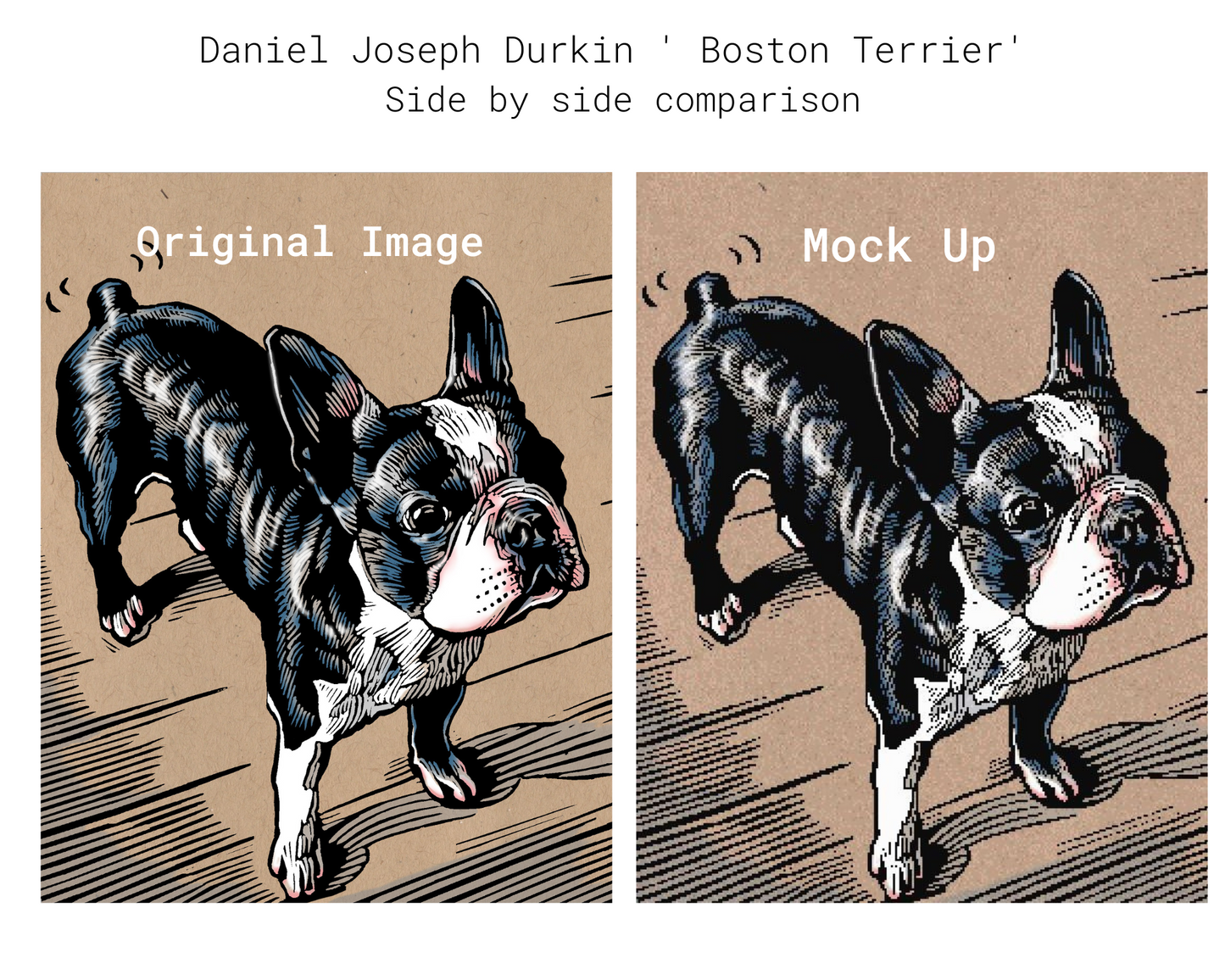 Boston Terrier